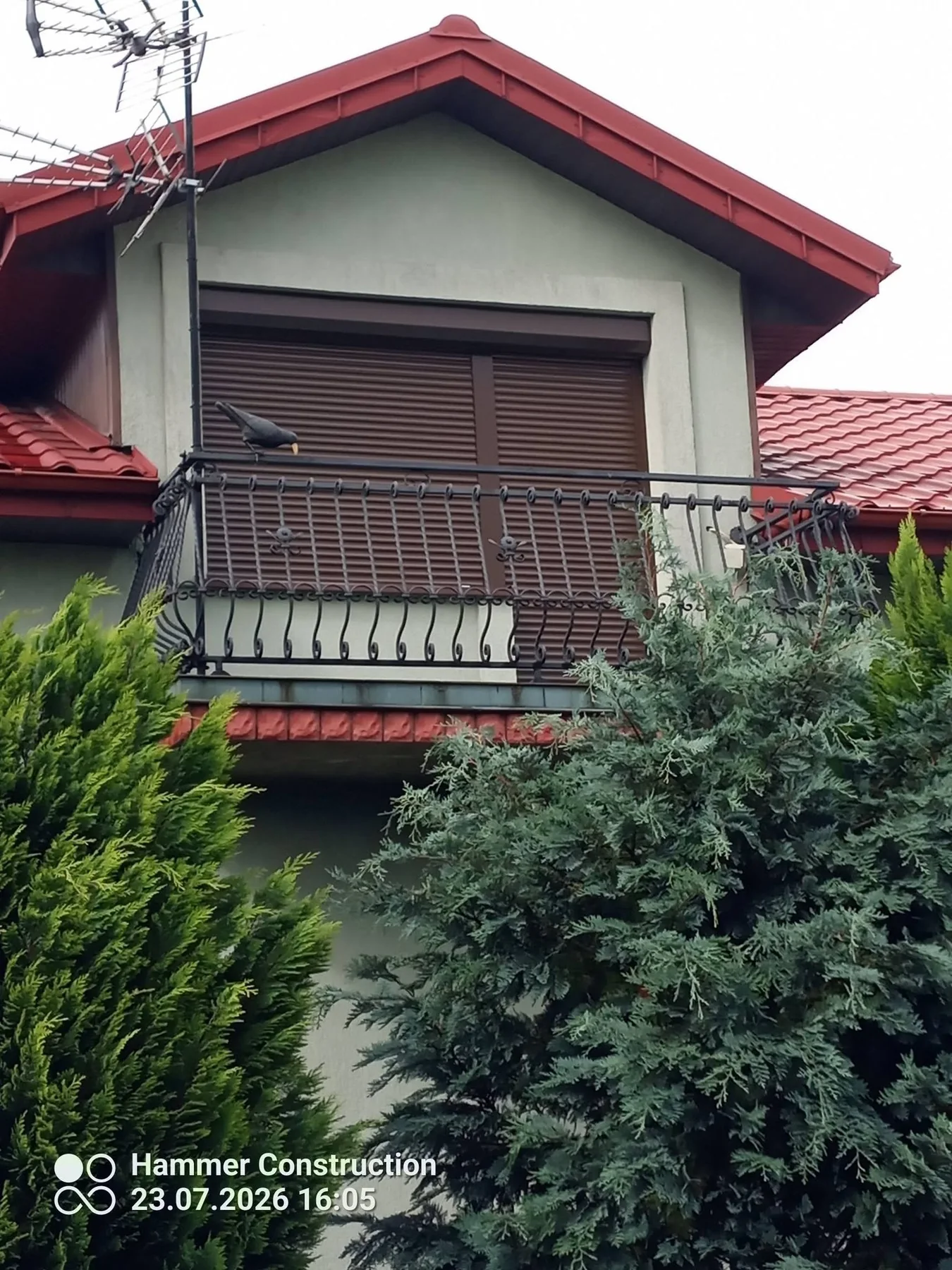 Brąz i złoty dąb — zdjęcie 3