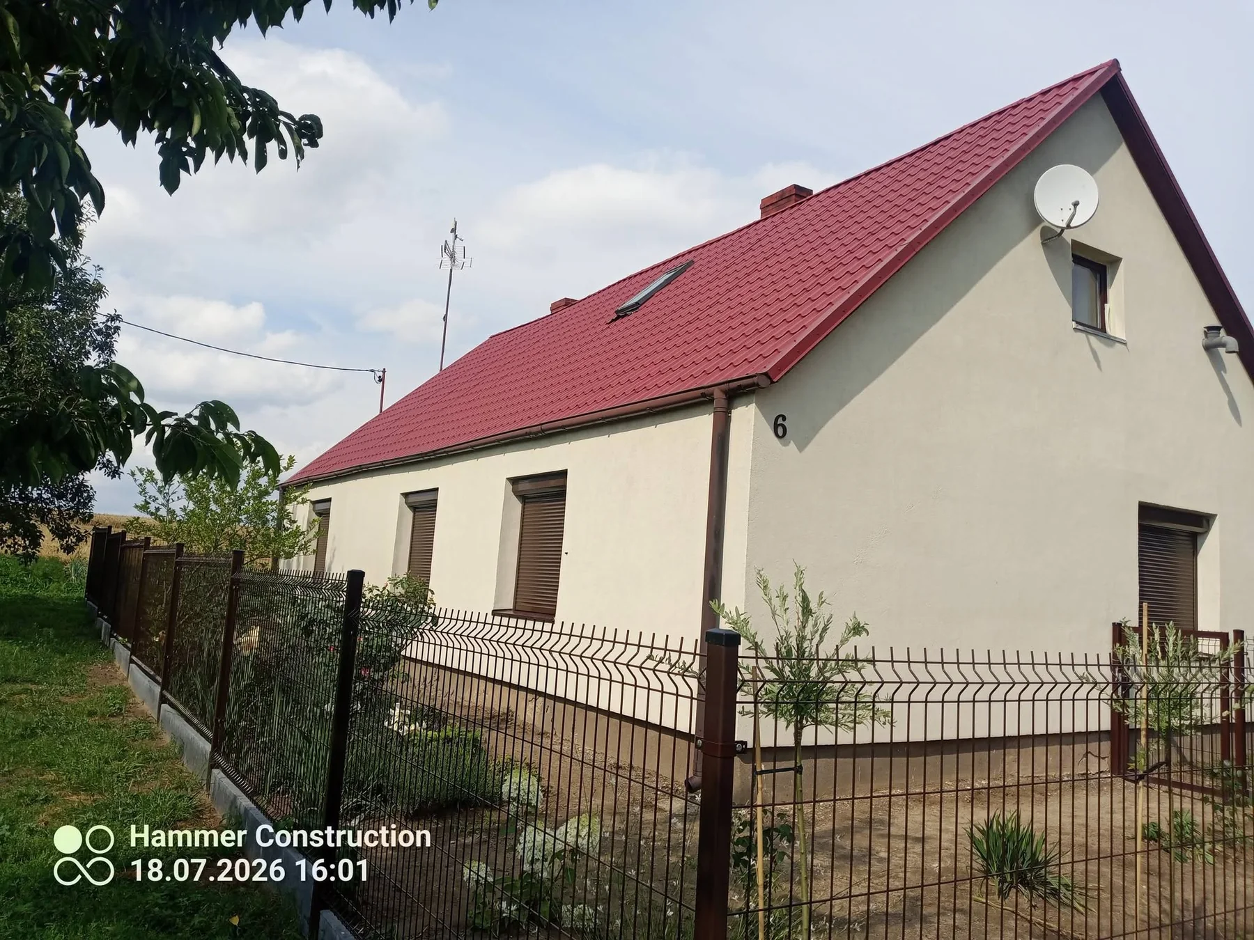 Złoty dąb i brąz — zdjęcie 3